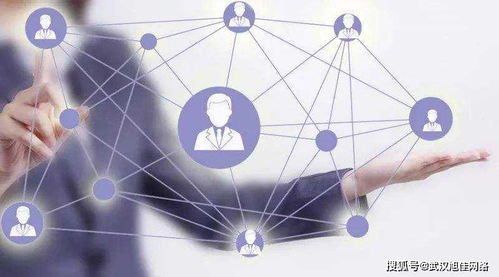 企業網站制作費用差異在哪里？深入解析互聯網上網服務的成本因素