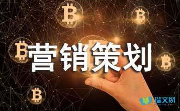 營(yíng)銷策劃書(shū)的標(biāo)準(zhǔn)格式與核心要素