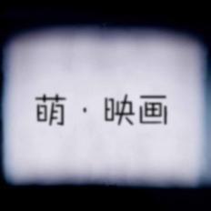 POCO攝影 用光影敘事，打造專屬的電影級影像體驗